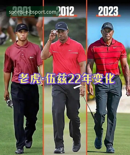 bsport体育app官网iOS版 老虎伍兹药物驾驶事件深度解析:从传奇陨落到bsport体育平台上的体育人生百态